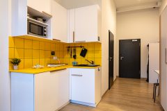 MILESTONE Wroclaw Olbin Apartment Deluxe